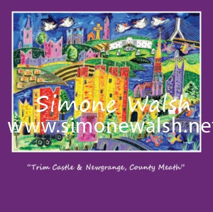 Trim Castle & Newgrange, Co. Meath