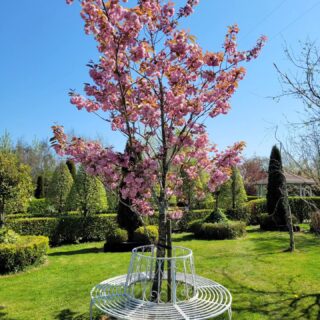 Beautiful day in the garden, at last!
Here's now it looked last year:

https://youtu.be/rS8TTRU01PE